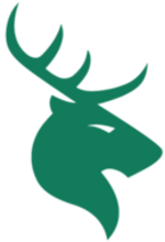 Central Districts flag