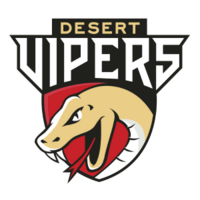 Desert Vipers flag