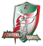 Fortune Barishal flag