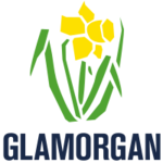 Glamorgan flag