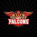 Kandy Falcons flag