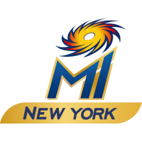 MI New York flag