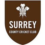 Surrey flag
