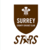 Surrey Stars Women flag