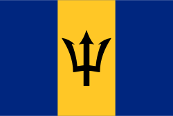 Barbados Women flag