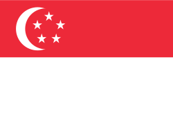 Singapore Women flag