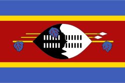 Eswatini Women flag